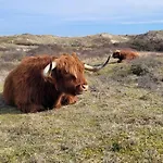 De Burgemeester - Centrum