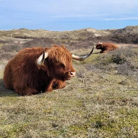 De Burgemeester - Centrum