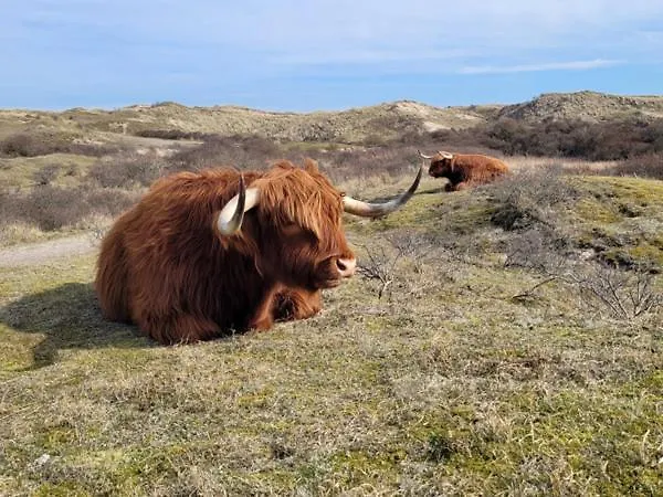 De Burgemeester - Centrum